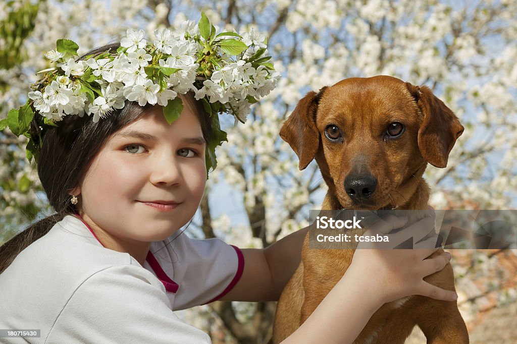 Bambina con il suo cane marrone - Foto stock royalty-free di 6-7 anni