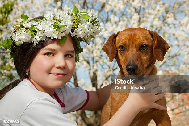 Bambina Con Il Suo Cane Marrone - Fotografie stock e altre immagini di 6-7 anni - 6-7 anni, Allegro, Ambientazione esterna