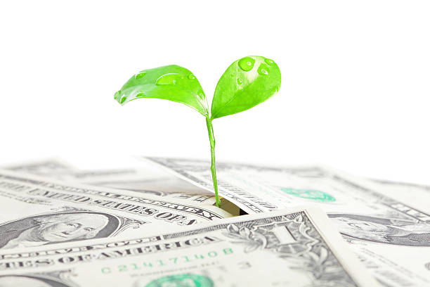 istock Money and green plant 180715745