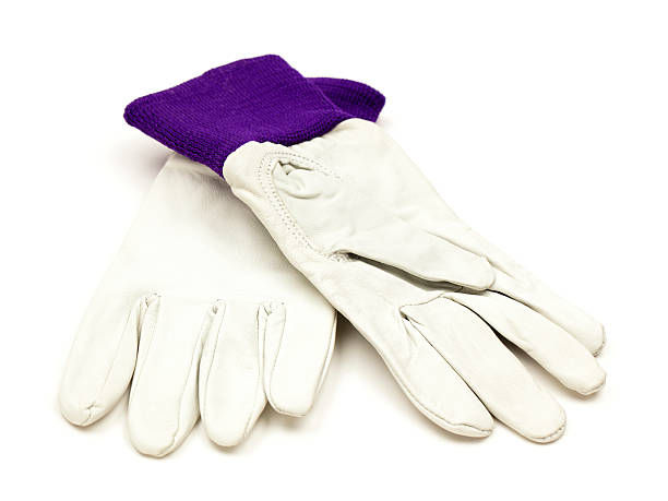istock Leather Gardening Gloves 180715784