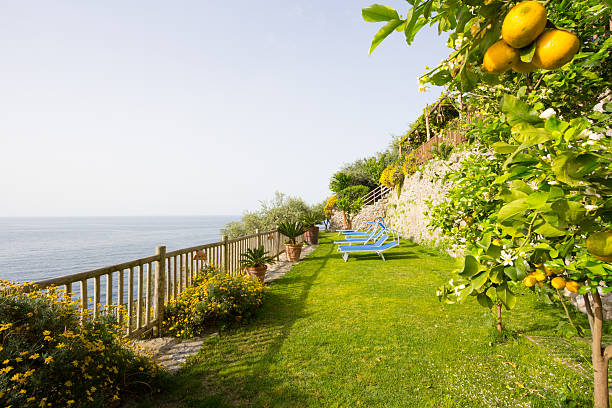 istock Amalfi Coast in Campania, Italy 180715788