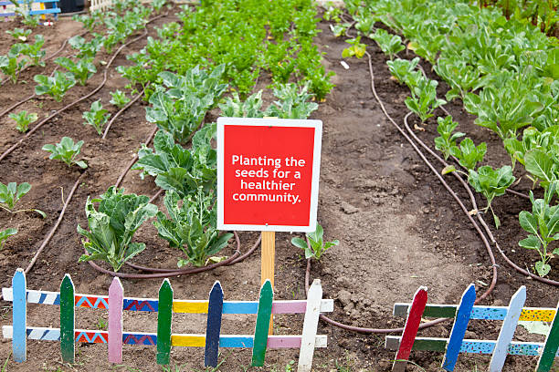 Community Garden in a City A local urban garden in a busy metropolitan city. community garden sign stock pictures, royalty-free photos & images