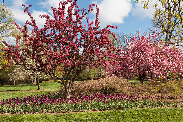 istock Colorful Blooming Spring Garden 180716033