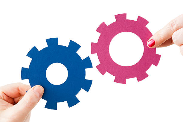 istock Relationship of male and female cogs 180716078