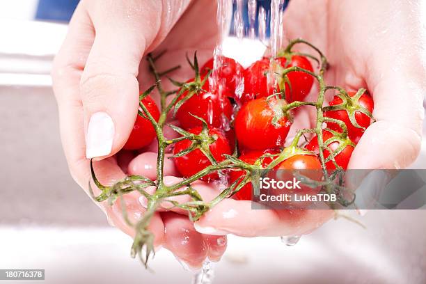 Photo libre de droit de Laver Légumes Frais banque d'images et plus d'images libres de droit de Tomate - Tomate, Adulte, Aliment