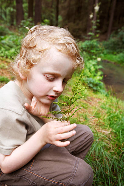 istock Young boy exploring fern plant in the forest 180716899