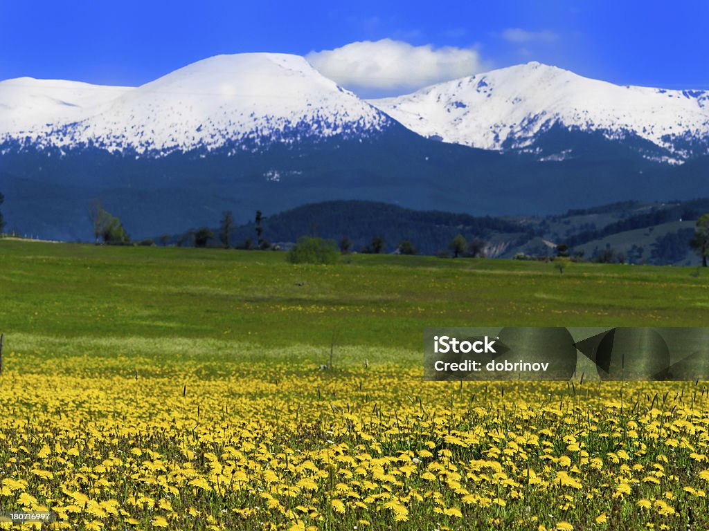 Primavera Prado - Royalty-free Agricultura Foto de stock