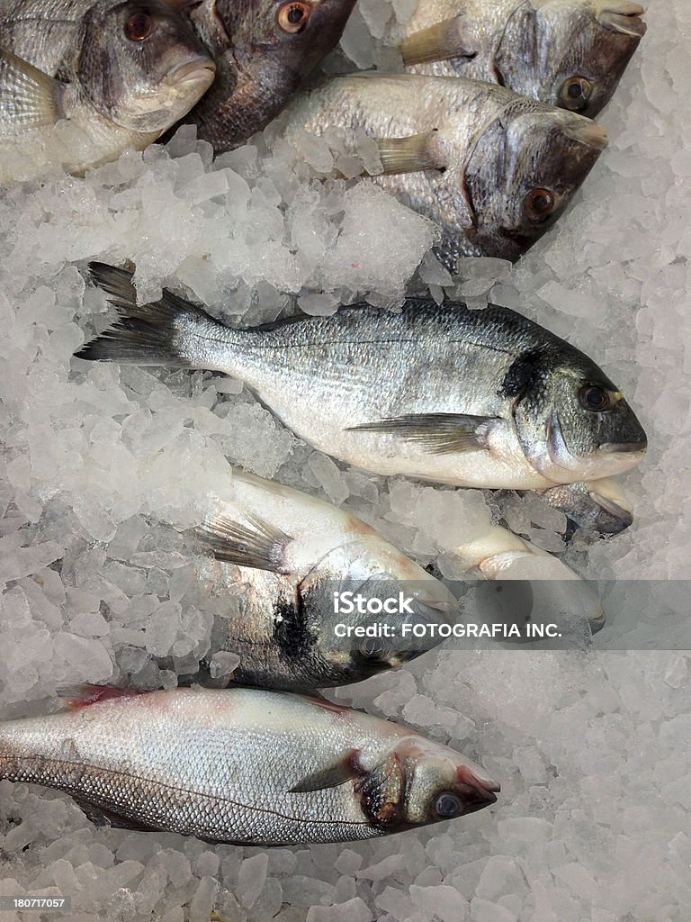 Frischer Fisch - Lizenzfrei Ausverkauf Stock-Foto