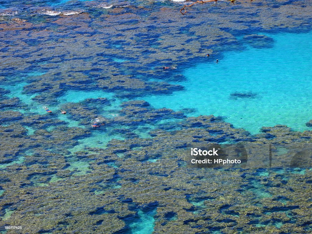 Recife de Coral - Foto de stock de Baía de Hanauma royalty-free