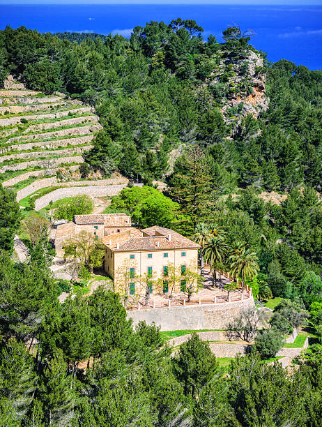 Banyalbufar landscape (Mallorca) Banyalbufar landscape in Majorca (Spain). Arabic terraces and traditional majorcian farmhouse in spring. banyalbufar stock pictures, royalty-free photos & images