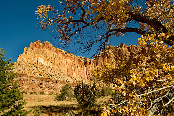 istock Capitol Reef National Park, Utah 180717660