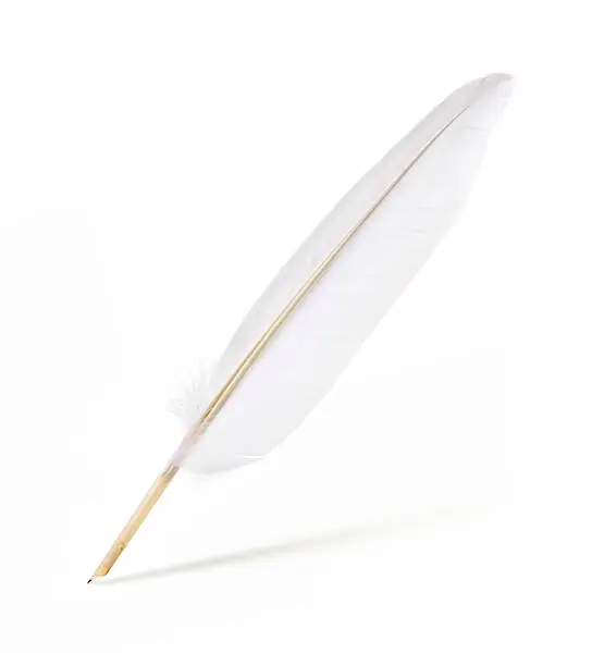 Quill Pen on white.