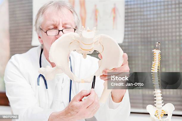 Doctor Demonstrating Pelvis Stock Photo - Download Image Now - 50-59 Years, Adults Only, Childbirth