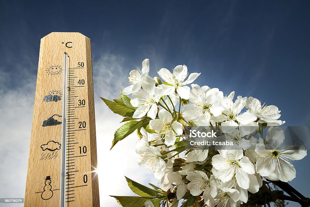 Thermometer beautiful heat spring day on the thermometer Beauty In Nature Stock Photo