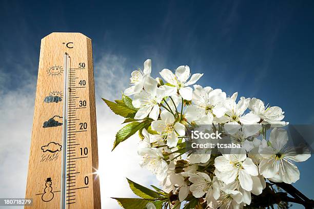 Thermometer Stock Photo - Download Image Now - Beauty In Nature, Blossom, Bud