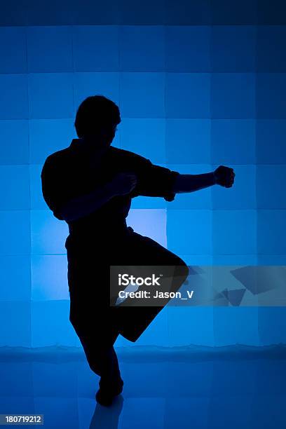 Silueta De Artes Marciales Foto de stock y más banco de imágenes de Artes marciales - Artes marciales, Azul, Conflicto