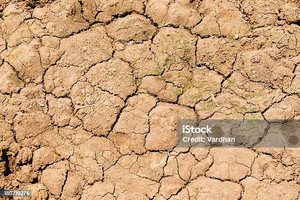 Solo Rachado - Fotografias de stock e mais imagens de Condições Meteorológicas - Condições Meteorológicas, Erodido, Estéril