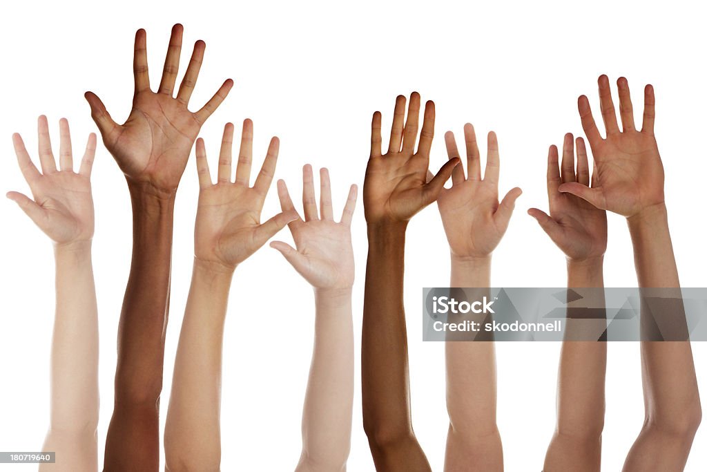 Children Raising Hands This is a photo taken in the studio of a mix of children raising their hands isolated on a white background.Click on the links below to view lightboxes. Child Stock Photo