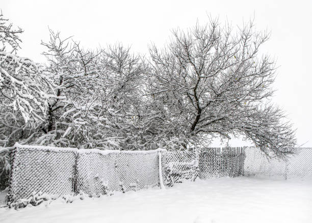 istock Snow-covered rustic garden with fence. 1807201133
