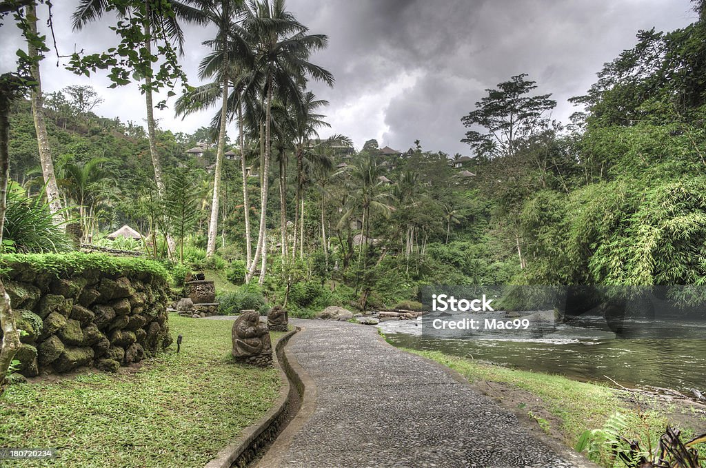 Jungle Resort - Foto de stock de Acera libre de derechos