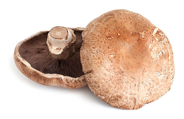 istock Portobello mushrooms 180720362
