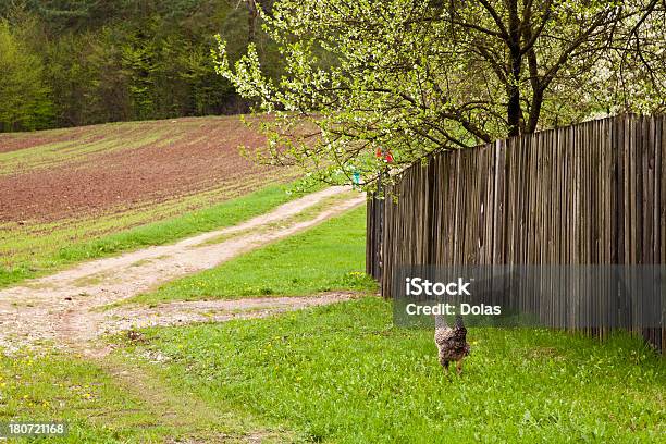 Ländliche Landschaft Stockfoto und mehr Bilder von Apfelbaum - Apfelbaum, Zaun, Baum