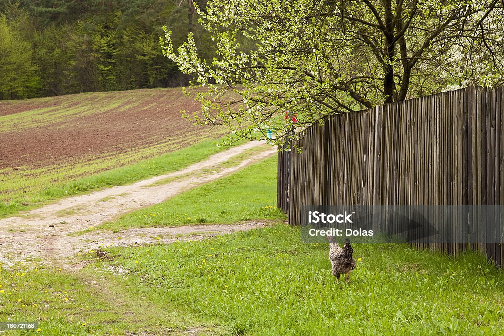 Сельский пейзаж - Стоковые фото Забор роялти-фри