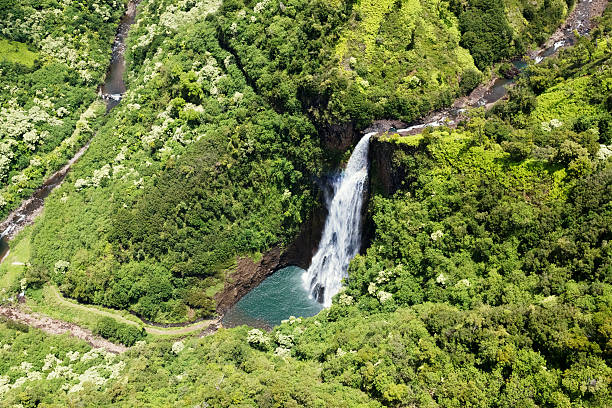 wodospad, nepalski coast, hawaje - kauai tropical climate green travel destinations zdjęcia i obrazy z banku zdjęć