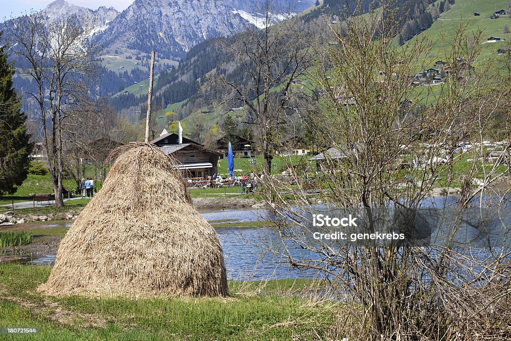 Domingo à tarde Primavera, Alpes suíços, Bernese Oberland - Royalty-free Alpes suíços Foto de stock