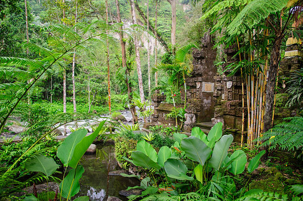 Old temple in balinese rainforest