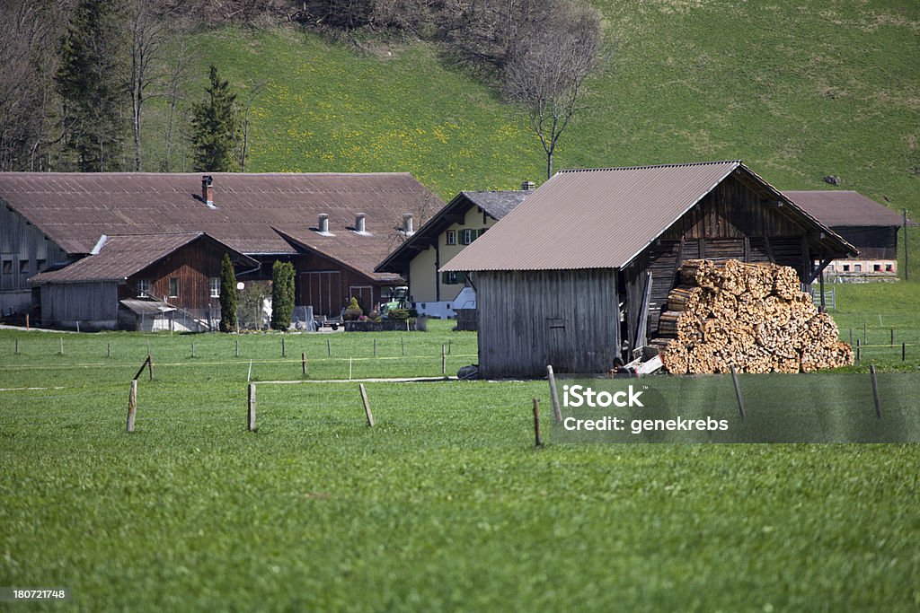 Bauernhaus und Scheune gestapelte Brennholz Frühling, Berner Alpen - Lizenzfrei Anhöhe Stock-Foto