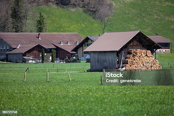 Bauernhaus Und Scheune Gestapelte Brennholz Frühling Berner Alpen Stockfoto und mehr Bilder von Anhöhe