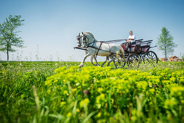 istock Taxi carriage 180721957