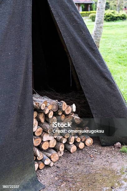 Registri - Fotografie stock e altre immagini di Albero - Albero, Albero caduto, Ambientazione esterna