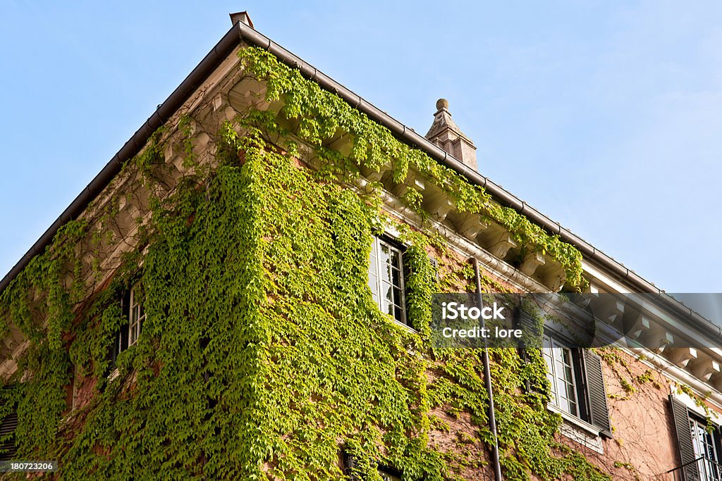 Ivy coberto edifício, Roma - Foto de stock de Hera - Trepadeira royalty-free