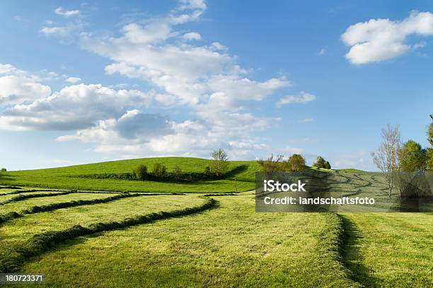 Haymaking In Bayern Deutschland Stockfoto und mehr Bilder von Bayern - Bayern, Ernten, Fotografie