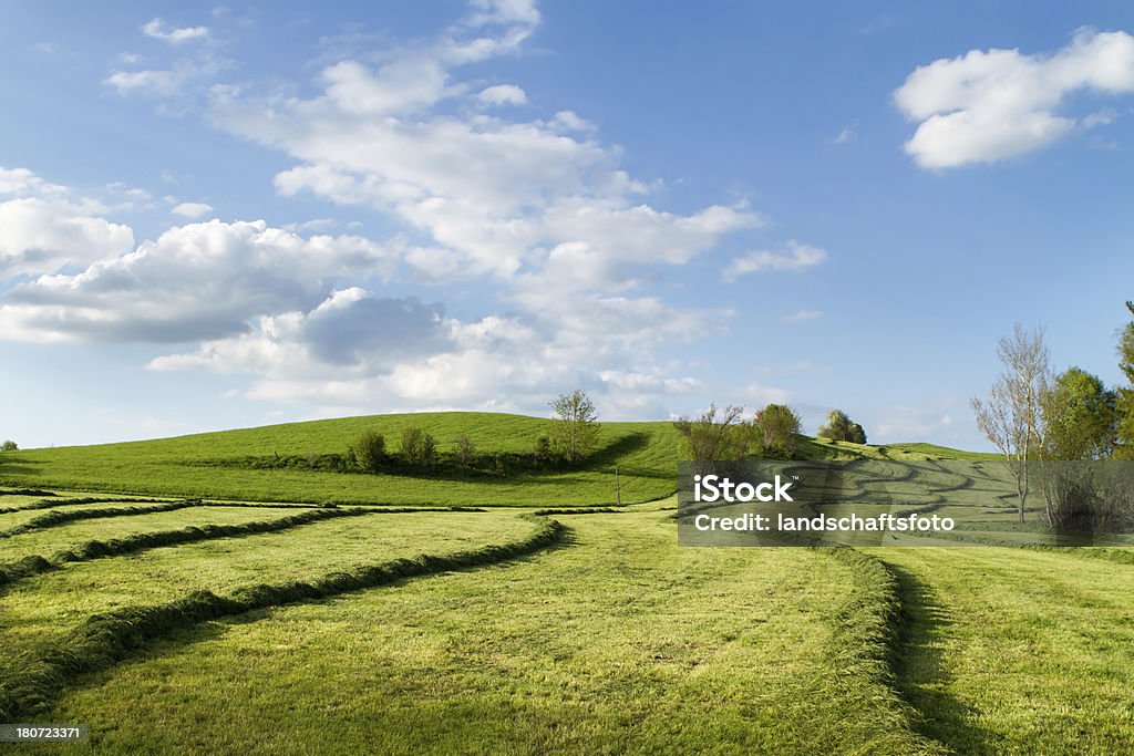 haymaking in Baviera, Germania - Foto stock royalty-free di Agricoltura