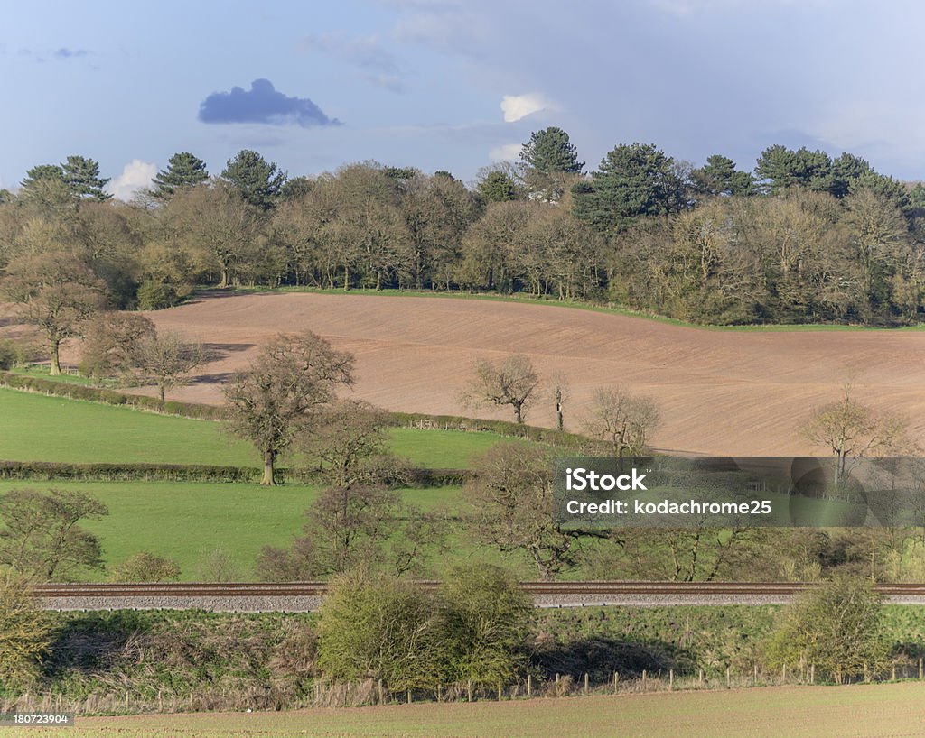 field a field in the countryside in a rural environment Agricultural Field Stock Photo