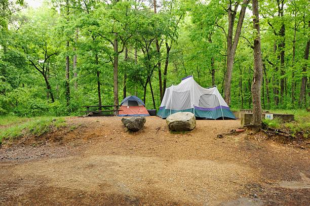 istock Two tents in wooded campsite 180723970