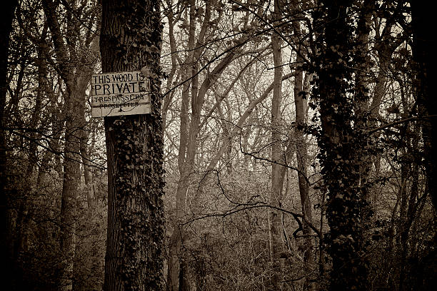 istock Entrance to a spooky wood, Private Keep Out (Sepia toned) 180723997