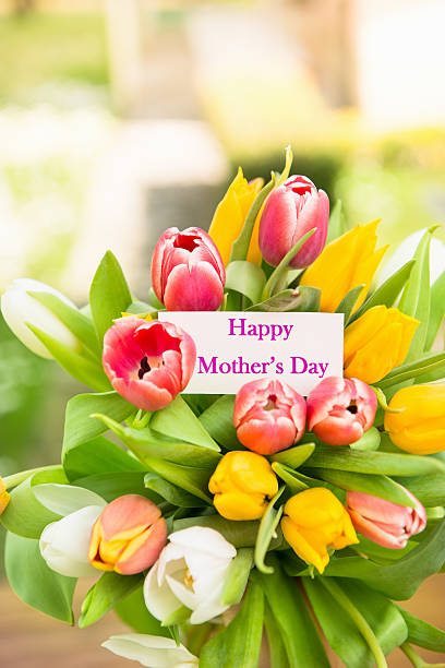 сочетание тюльпаны на день матери - mothers day tulip yellow greeting card стоковые фото и изображения