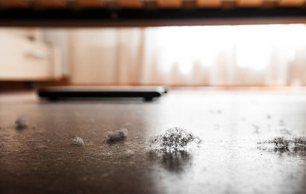Dust and dirt on a wooden floor