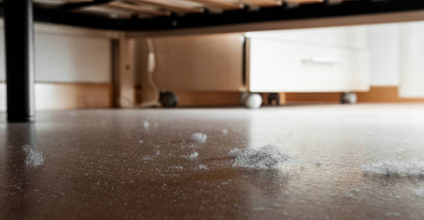 polvo y suciedad en un piso de madera - debajo de fotografías e imágenes de stock