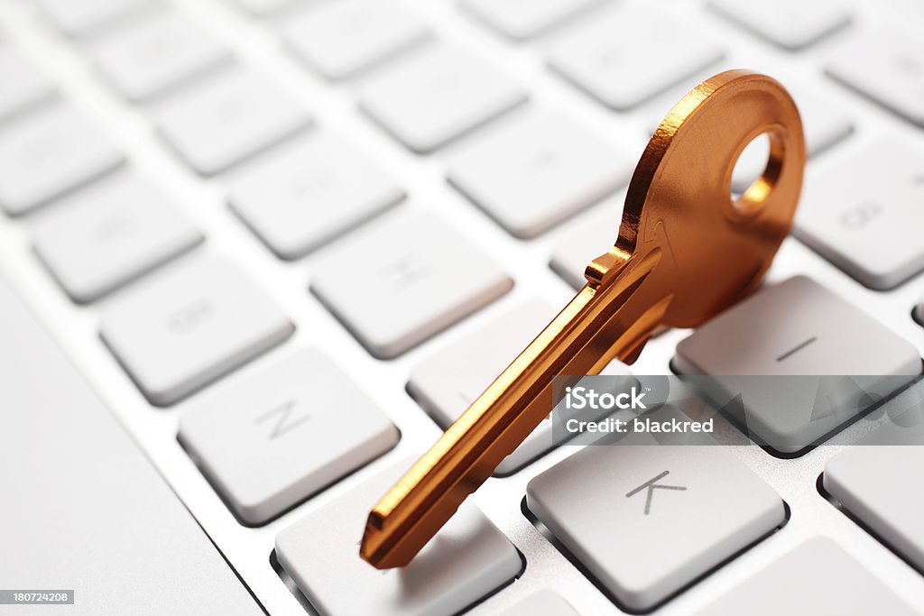 Sicurezza informatica - Foto stock royalty-free di Accessibilità