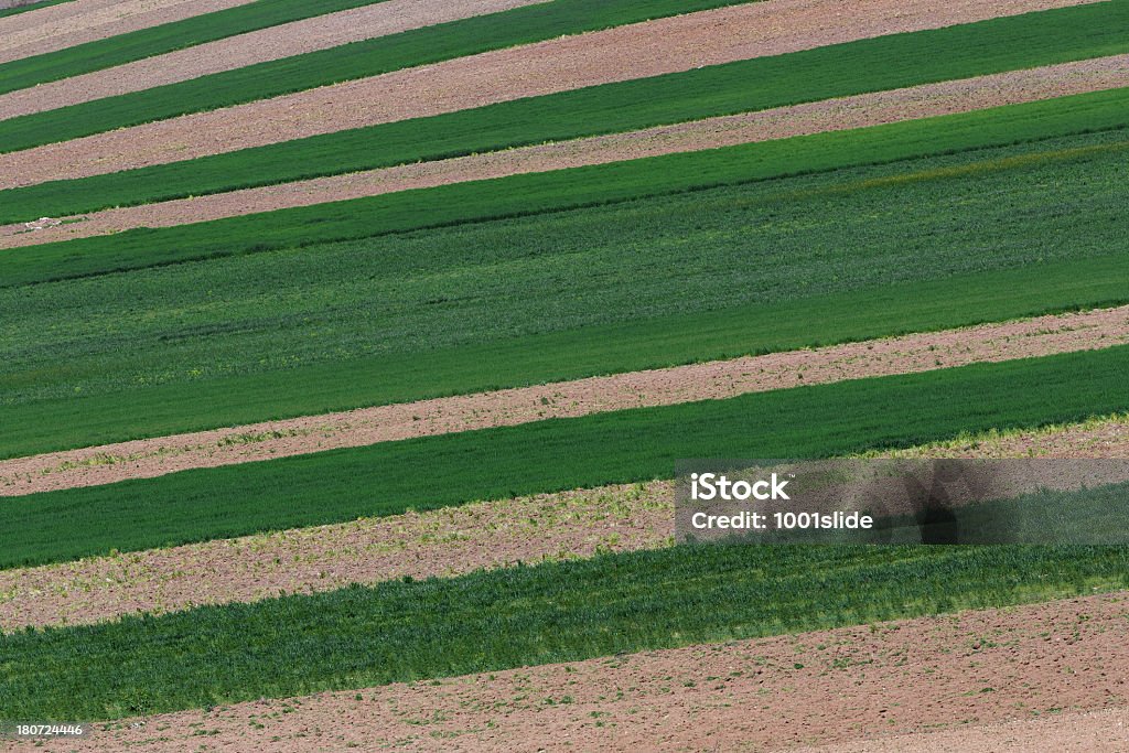 Green Campo - Foto de stock de Aire libre libre de derechos