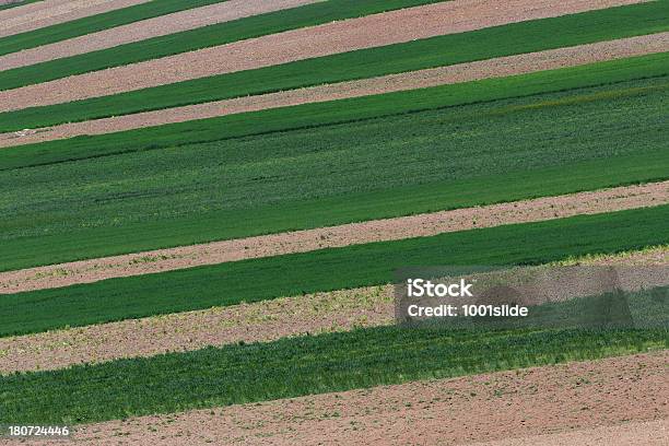 Green Campo Foto de stock y más banco de imágenes de Aire libre - Aire libre, Ankara - Turquía, Asia