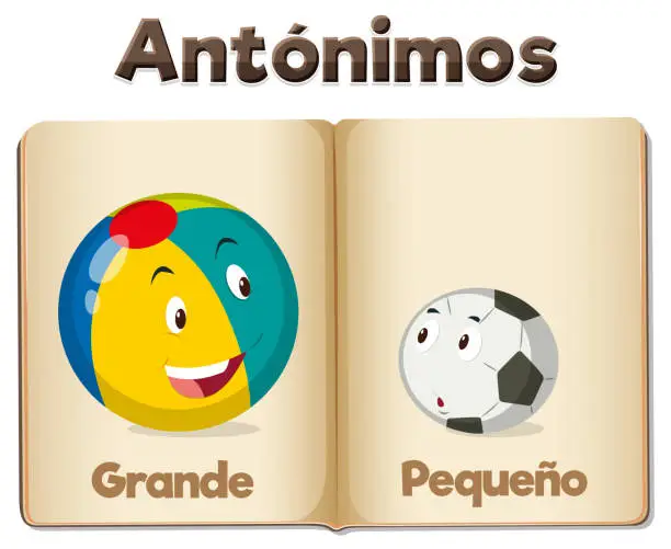 Vector illustration of Spanish Language Education: Grande and Pequeno Picture Card big and small