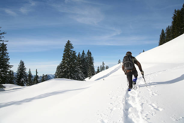 La neige - Photo