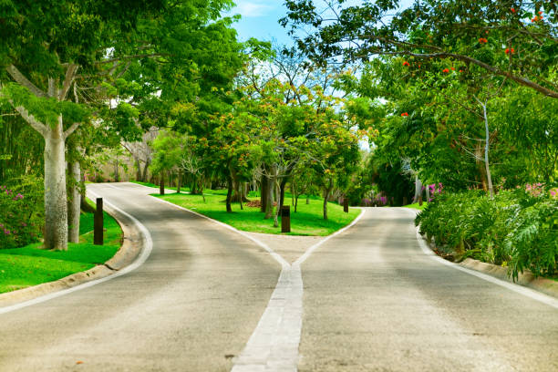 croisement - forked road photos et images de collection