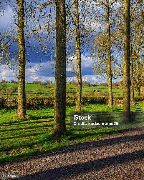 Kraj Lane - zdjęcia stockowe i więcej obrazów Anglia - Anglia, Asfalt, Bez ludzi